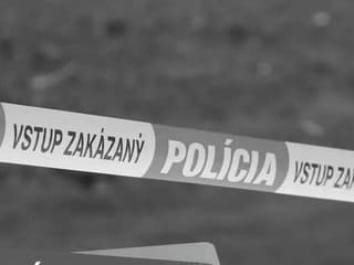 Polícia obvinila ženu (38)