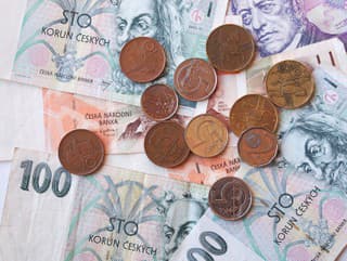 Česká vláda chce znížiť