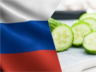 Rusov hnevajú drahé uhorky: