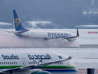 MIMORIADNE Zúfalí slovenskí fanúšikovia