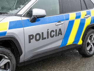 Polícia naďalej vyšetruje hajlovanie