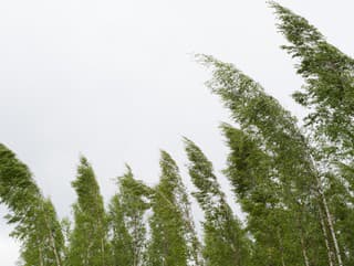 Platia výstrahy: V TÝCHTO