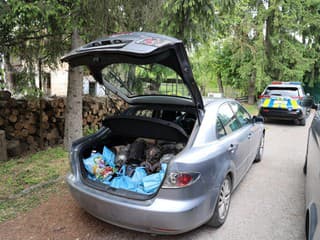 Enviropolícia mu pokazila biznis: