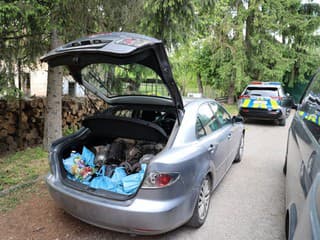 Enviropolícia mu pokazila biznis: