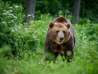 Súd zrušil výnimku na