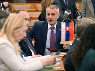 Predseda Národnej rady (NR)