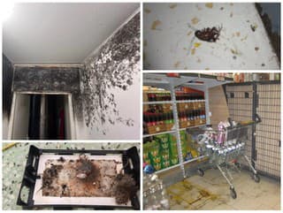 Z týchto záberov vám