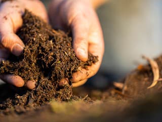 Záhony bez rýľovania? Ako