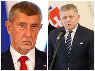 Prístup Babiša a Fica