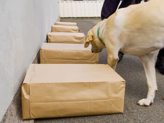 Podozrivý balík v Česku!