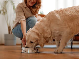 Veterinár otvorene: TÝMTO by