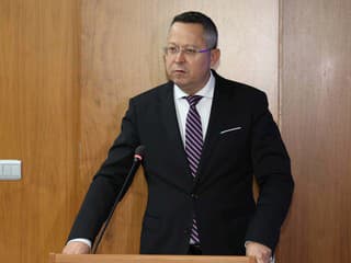 Vláda uložila Kamenickému prijať