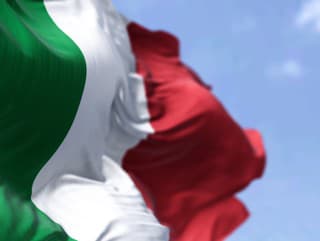 Detail of the national