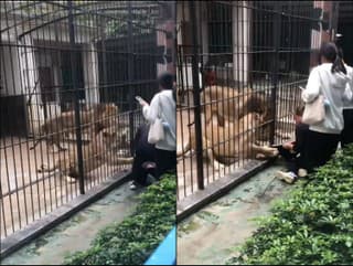 Levy napadli dievča.