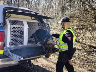 Nevideli ste ho? Polícia