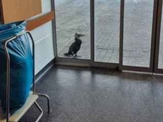 Lekári ostali v šoku: