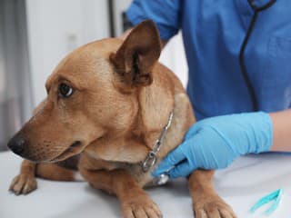 Operácie v suteréne rodinného