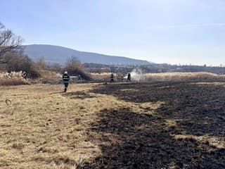 Požiar porastu v Devínskej