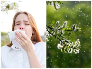 Blížiaca sa JAR je