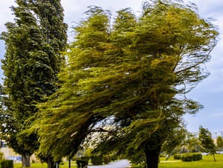 Silný vietor zasiahne Slovensko
