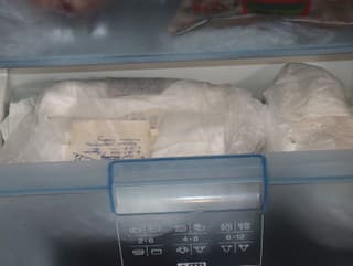 Mraznička plná tiel mačiatok