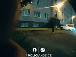 Rýchly zásah polície! VIDEO