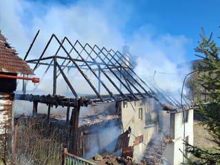 Počas požiaru domu v