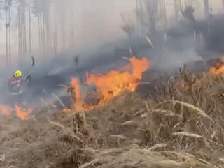 Hasiči zasahujú pri požiari