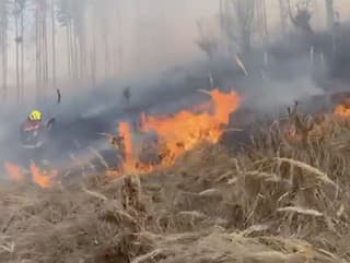 Hasiči zasahujú pri požiari