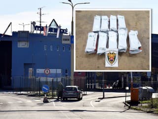 Neuveriteľný pokus o pašovanie