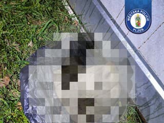 Hororový nález riešili mestskí