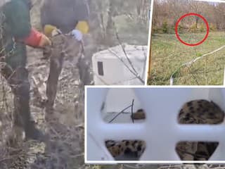 Obyvateľov obce pri Bratislave