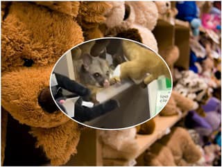 Bizarný nález na letisku: