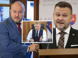 Rok od vládnej krízy: