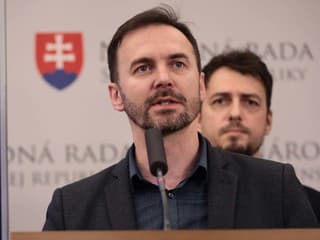 Pôsobenie Sakovej a Šutaja