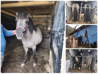 Zakročili v hodine dvanástej: