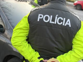 Mimoriadna kontrola v TOMTO