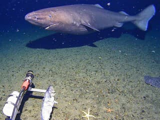 Prvýkrát v histórii: Vedcom