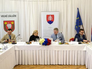 Vláda pre okresy Nitra