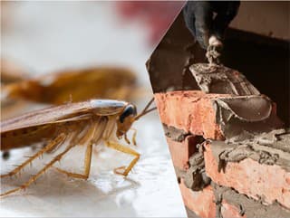 Horšie ako DOBYTOK! Tisíce