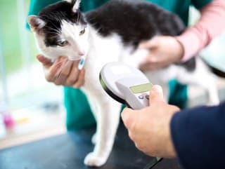 Nové pravidlá u susedov: