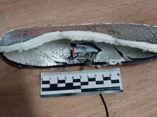 Rusi odhalili v zásielke