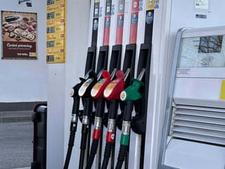 Umelé udržiavanie nízkych cien