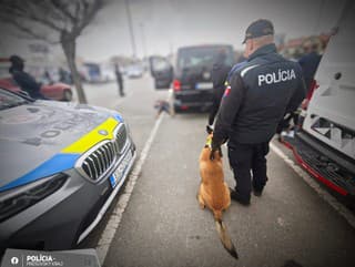 Prebehla protidrogová akcia: Prešovskí