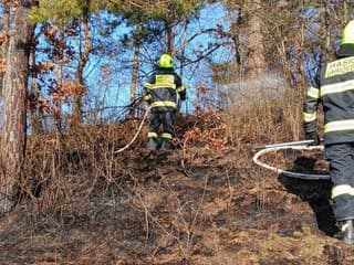 Požiare v prírodnom prostredí