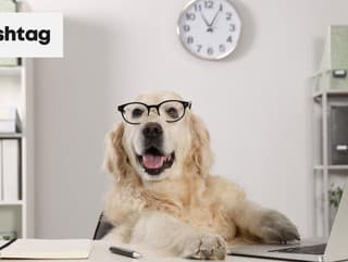 Rebríček 10 najinteligentnejších psov: