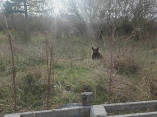 Obec VARUJE obyvateľov! FOTO