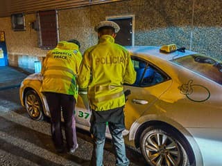 Polícia kontrolovala v okrese