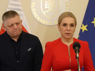 Tlačová konferencia 