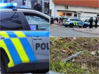 KRVAVÝ incident v bratislavskej